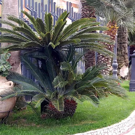 Hotel Hotel Ristorante Donato