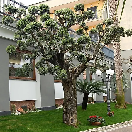 Hotel Ristorante Donato 3* Calvizzano