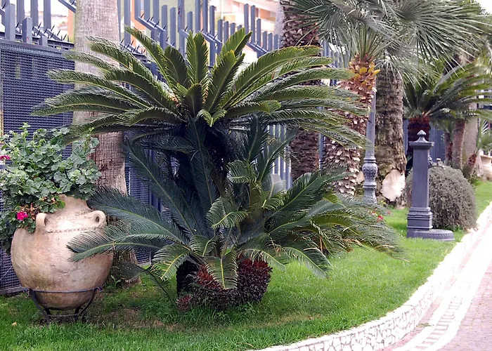 Hotel Ristorante Donato